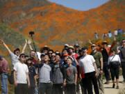 People pose for a picture among wildflowers in bloom March 18 at Lake Elsinore, Calif. This spring, fields of wildflowers in Lake Elsinore, were overrun by tourists seeking the perfect photo.