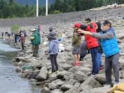 Shad anglers line up below Bonneville Dam. Shad fishing has been excellent in the Columbia River this year.