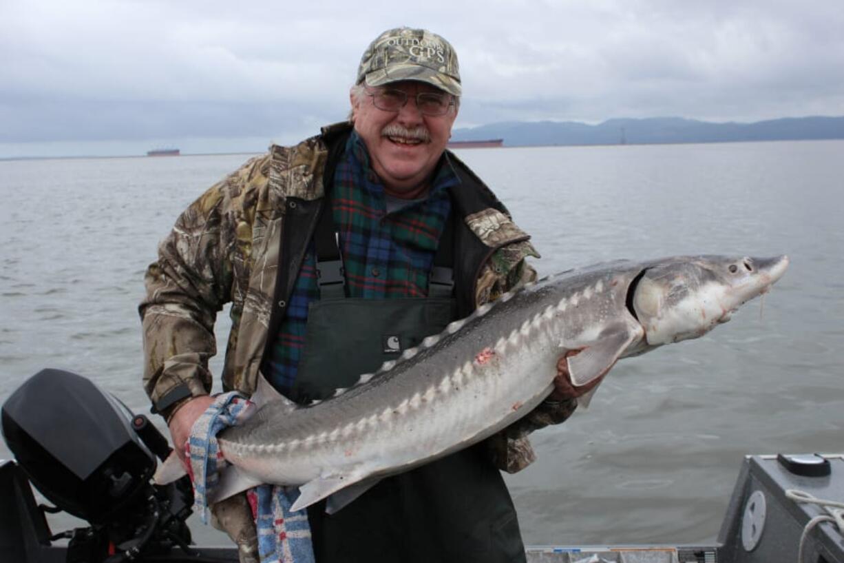 Columbian outdoor reporter Terry Otto with a keeper sturgeon taken on June 4 with fishing guide Bob Rees. Though retention fisheries are over, the world-class catch and release sturgeon fishery will only get better during the summer months.