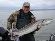 Columbian outdoor reporter Terry Otto with a keeper sturgeon taken on June 4 with fishing guide Bob Rees. Though retention fisheries are over, the world-class catch and release sturgeon fishery will only get better during the summer months.