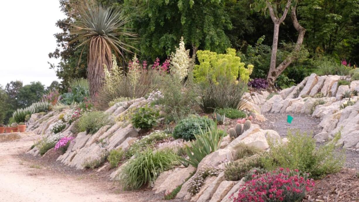 Plant collector and grower Tony Avent has created a 300-foot-long crevice garden at Juniper Level Botanic Garden in Raleigh, N.C.