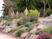 Plant collector and grower Tony Avent has created a 300-foot-long crevice garden at Juniper Level Botanic Garden in Raleigh, N.C.