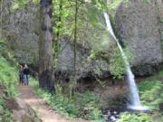 Hikers on the Horsetail Falls Trail walk past trees that were charred during the Eagle Creek Fire in 2017. Visitors to Columbia Gorge hiking trails can see first hand how a forest recovers from a fire.