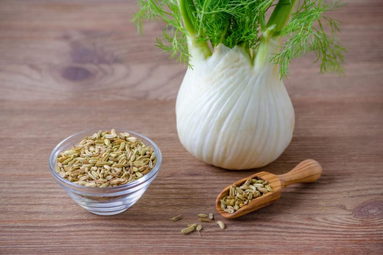 The bulb, fronds and seeds of fennel are all edible.