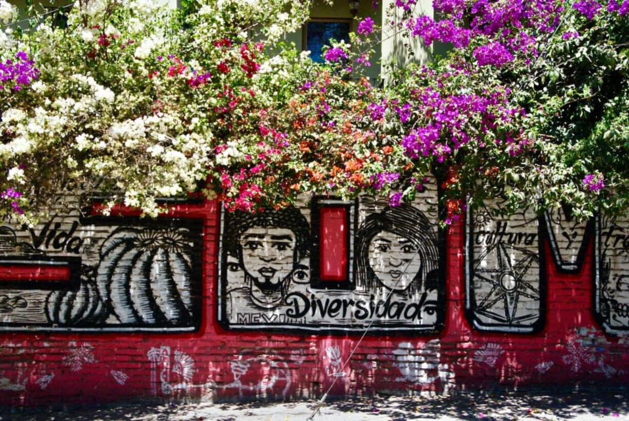 One of San Miguel de Allende’s many colorful street murals.