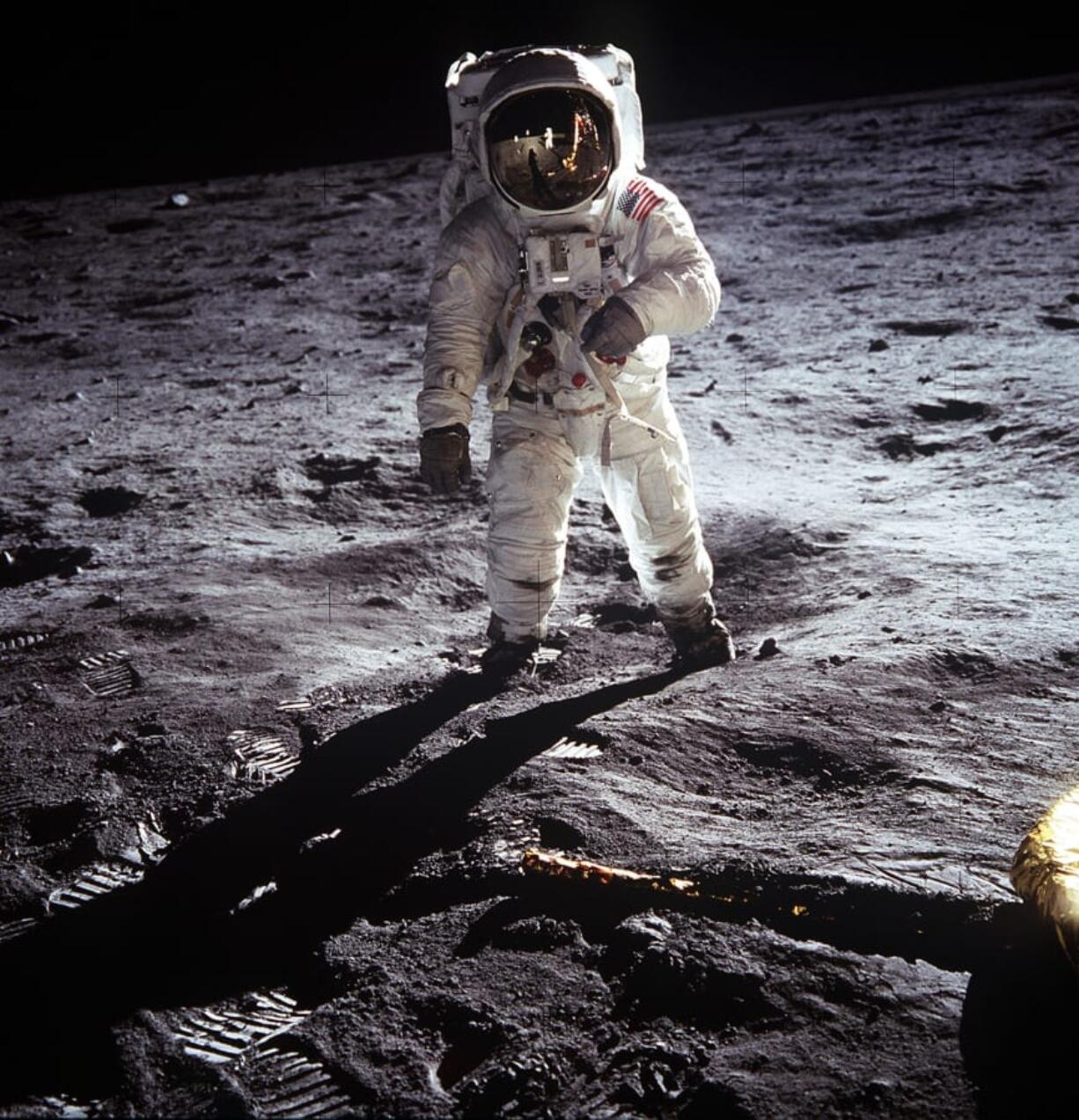 Astronaut Edwin E. Aldrin Jr. walks near the Lunar Module during the Apollo 11 extravehicular activity July 20, 1969, on the moon.