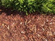 Bark mulch can reduce weed sprouting by 90 percent.