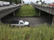 Traffic drives past the 179th Street and I-5 interchange.