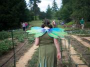 Ashley Blouse, who performs as the Traveling Bubble Fairy, walks through a garden at Wattle Tree Farms in Vancouver during a summer celebration on Sunday.