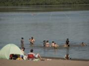 Swimmers at Vancouver Lake enjoy a hot Sunday afternoon despite health advisories about E. coli and blue-green algae over the past few weeks.