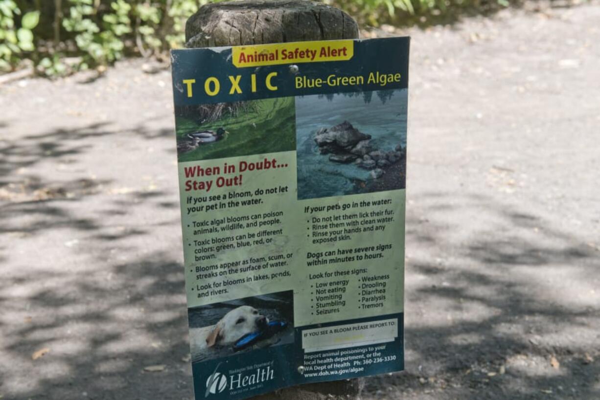 A sign in the Vancouver Lake Regional Park parking lot warns against allowing pets inside the lake, which has had E. coli and blue-green algae health advisories the past few weeks.