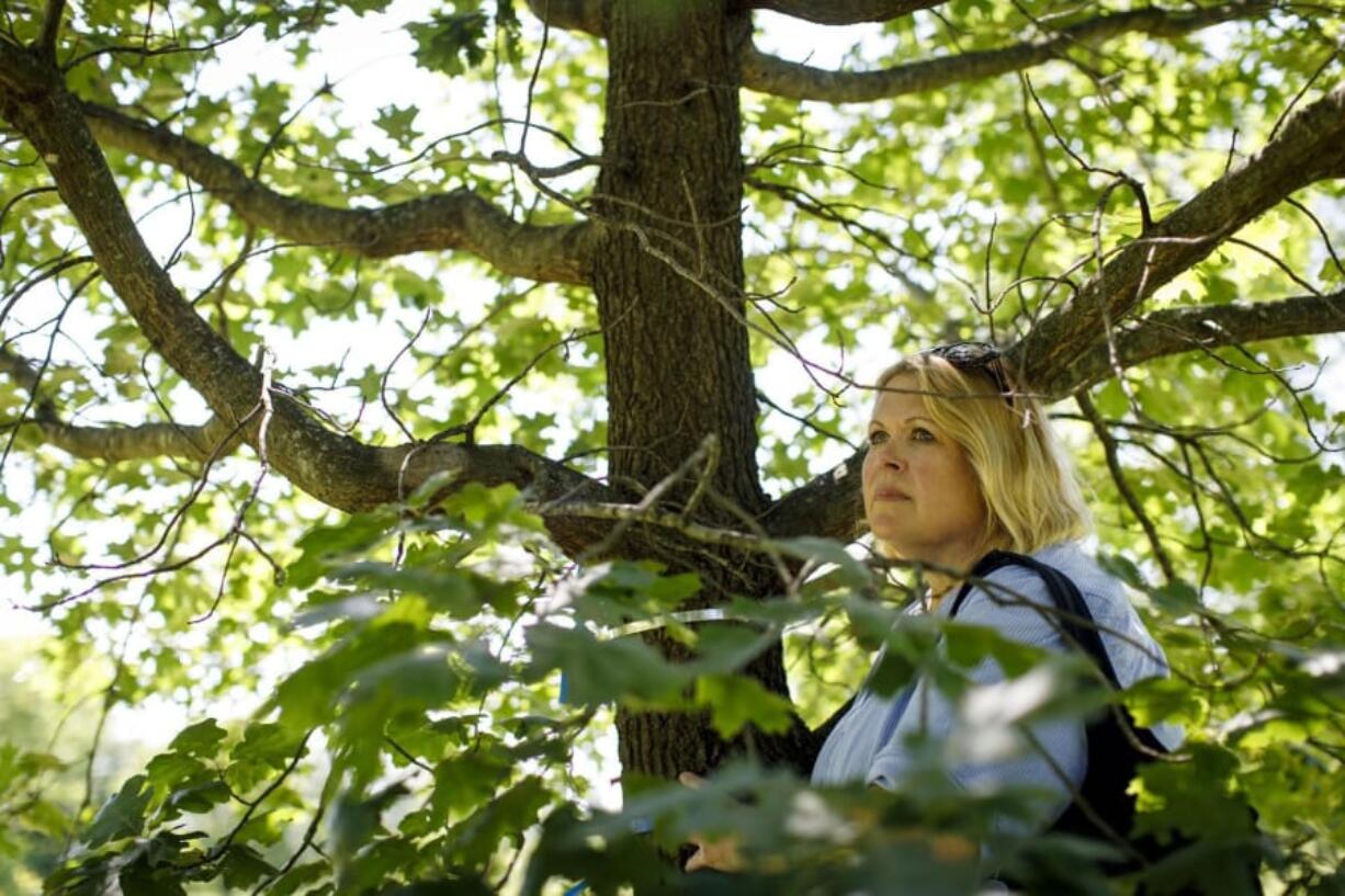 Lee Ann Meiborg stands in the shade of one of the new trees dedicated to her late daughter, Amanda Meiborg, on July 3 at the Morton Arboretum. Meiborg’s original memorial tree outside her West Chicago high school was unexpectedly torn down recently.