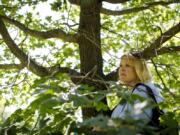 Lee Ann Meiborg stands in the shade of one of the new trees dedicated to her late daughter, Amanda Meiborg, on July 3 at the Morton Arboretum. Meiborg’s original memorial tree outside her West Chicago high school was unexpectedly torn down recently.