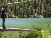 Jeff Otto of Sandy, Ore., casts a spinner to trout in a high-elevation Cascades Mountains lake. The WDFW stocks hundreds of mountain lakes, and many of the best ones are in the Indian Heaven Wilderness.