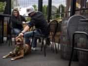Bernadette Pye, her husband Andy and their red nose pitbull, Suntwo, enjoy an evening at Heathen Brewing Feral Public House in Vancouver. Clark County Public Health has created a variance to Washington’s food code that allows dogs on outdoor spaces at restaurants. Heathen and Loowit Brewing are the only restaurants to receive variances so far.