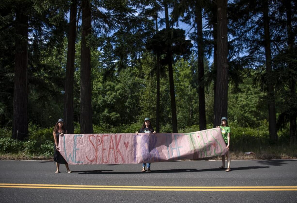 Alicia King, from left, Heather Kesmodel and Geri Rubano stand along 43rd Avenue in Camas with their sign reading “We speak for the trees.” The Camas residents are upset that a developer planned on cutting down trees, pictured behind them. They lobbied the city to have them saved, and it appeared they’d won until the developer took legal action with the city. These pictures were taken Friday; on Monday, the developer started clearing trees from the property.