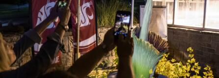 Kathy Lee and Wai Lee, both of Portland, take photos of the Titan VanCoug, the rare corpse flower, as it begins to bloom around 9:30 p.m. Monday at Washington State University Vancouver. We've been waiting for this for a lifetime, Wai said. It's like chasing an eclipse. Wai is from Malaysia and grew up learning about the flower.