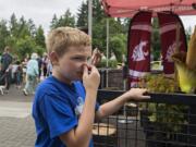 Joshua Cornish, 10, of Vancouver reacts after smelling the rare corpse flower, Titan VanCoug, in bloom at Washington State University Vancouver on Tuesday morning, July 16, 2019. Cornish was one of hundreds of visitors that took in the sight and the smell of the unique flower. "It smelled like garbage," he said.