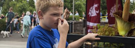 Joshua Cornish, 10, of Vancouver reacts after smelling the rare corpse flower, Titan VanCoug, in bloom at Washington State University Vancouver on Tuesday morning, July 16, 2019. Cornish was one of hundreds of visitors that took in the sight and the smell of the unique flower. "It smelled like garbage," he said.