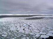 This January 2017 photo provided by Ted Scambos shows sea ice on the ocean surrounding Antarctica during an expedition to the Ross Sea. Ice in the ocean off the southern continent steadily increased from 1979 and hit a record high in 2014. But three years later, the annual average extent of Antarctic sea ice hit its lowest mark, wiping out three-and-a-half decades of gains, and then some, according to a study in the Proceedings of the National Academy of Sciences on Monday, July 1, 2019.