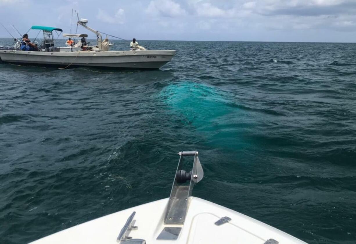 In this handout photo provided by the Bahamas ZNS Network, a recovery team stands by at the wreckage site where a helicopter carrying four women and three men, including billionaire coal entrepreneur Chris Cline and his daughter, crashed outside a string of islands Cline owned in the Bahamas, Friday, July 5, 2019. The bodies of the four women and three men were recovered and taken to the Bahamian capital of Nassau to be officially identified.