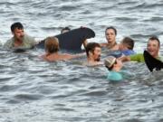 Georgia Department of Natural Resources personnel and beachgoers struggle to keep a short-fin pilot whale from crashing into the seawall on St. Simons Island, Ga., Tuesday, July16, 2019. Dozens of pilot whales beached themselves on a Georgia shore and most were rescued by authorities and onlookers who pulled the animals further into the water.