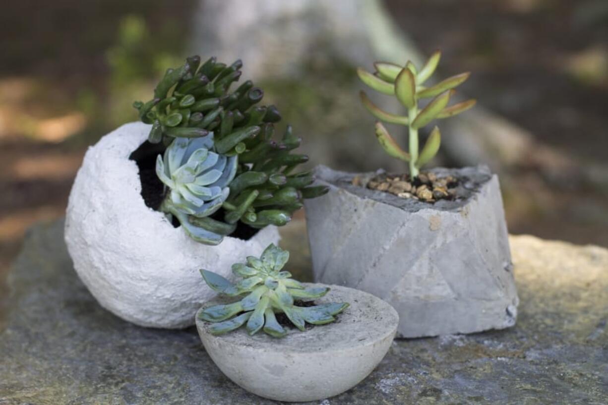 Concrete planters can provide an industrial or rustic home for succulents and other small plants, and they’re inexpensive and fairly easy to make. Spherical planters can be fashioned by applying cement to balloons, and bowls and other plastic containers can be used as molds for smoother results. A cardboard template taped together formed the mold for the more angular, geometric version shown here.