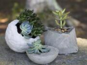 Concrete planters can provide an industrial or rustic home for succulents and other small plants, and they’re inexpensive and fairly easy to make. Spherical planters can be fashioned by applying cement to balloons, and bowls and other plastic containers can be used as molds for smoother results. A cardboard template taped together formed the mold for the more angular, geometric version shown here.