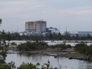 Cooling canals next to the Turkey Point Nuclear Generating Station are shown, Friday, July 19, 2019, in Homestead, Fla. The 168-miles of man-made canals serve as the home to several hundred crocodiles, where a team of specialists working for Florida Power and Light (FPL) monitors and protects the American crocodiles.