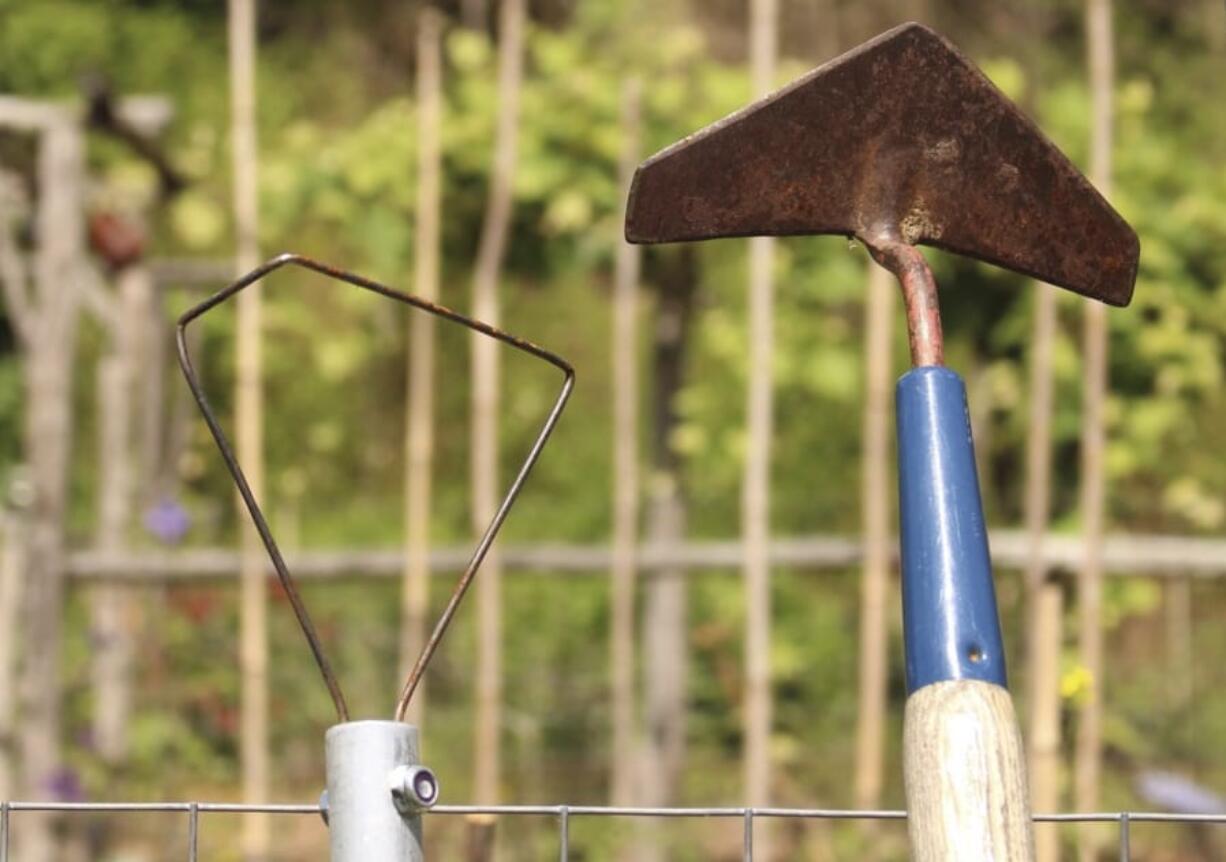 The winged weeder, right, and the wire hoe are two of a few styles of hoe that are a pleasure to use as their sharp edges run along just beneath the surface of the ground.