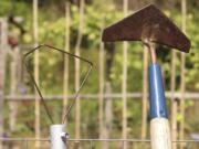 The winged weeder, right, and the wire hoe are two of a few styles of hoe that are a pleasure to use as their sharp edges run along just beneath the surface of the ground.