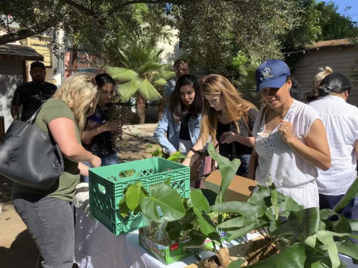 People take part in a plant swap in Los Angeles. Plant swaps have become a popular way for amateur horticulturists to meet like-minded people while exchanging growing advice or rare plants.