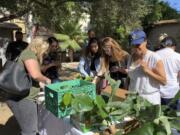 People take part in a plant swap in Los Angeles. Plant swaps have become a popular way for amateur horticulturists to meet like-minded people while exchanging growing advice or rare plants.