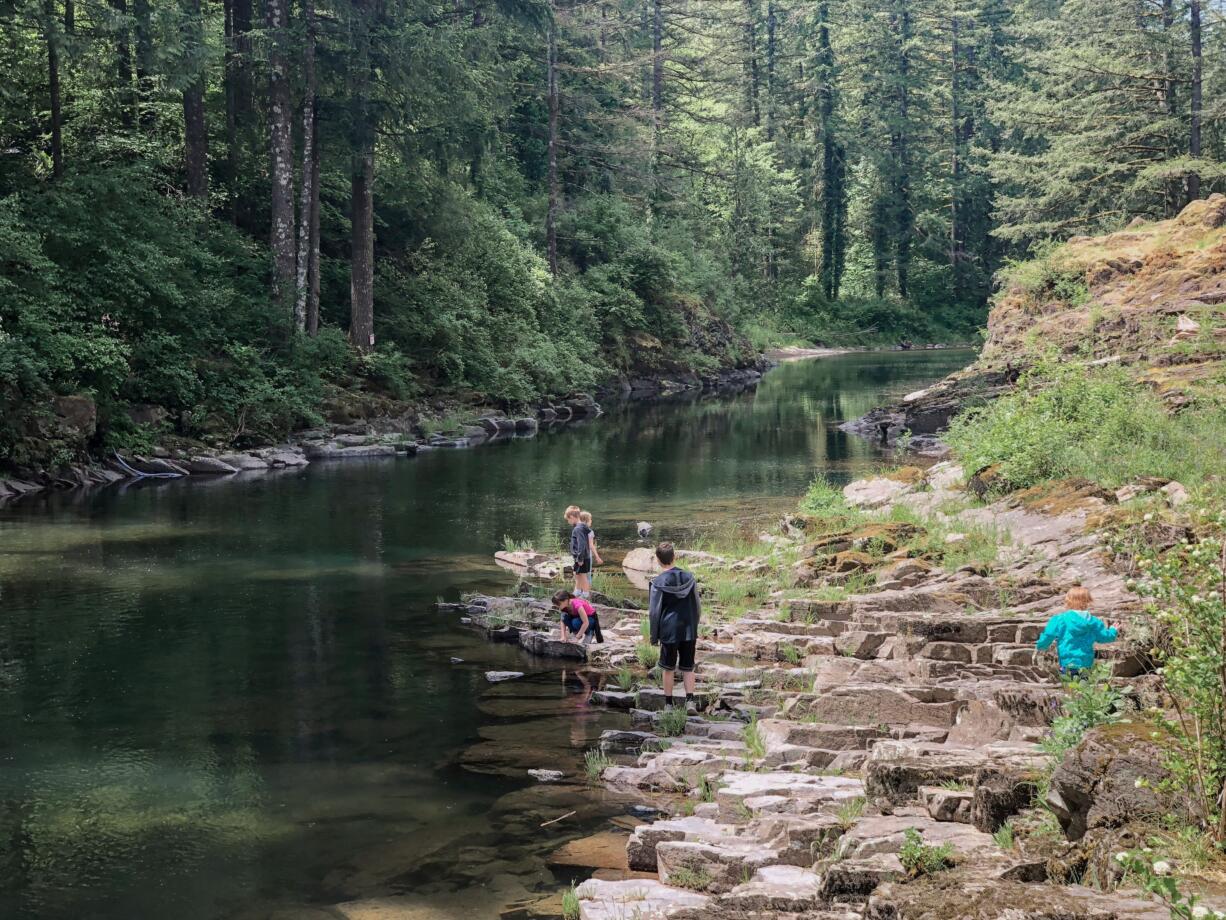 Summer is the perfect time for exploring the waterways of Washington, as long as they've been properly maintained and cleaned.