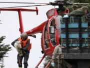 As others tend to two adult mountain goats on a flatbed truck in front of him, Derrick Halsey, a wildlife capture specialist known as a “mugger,” carries a kid mountain goat from a helicopter Tuesday, July 9, 2019, on Hurricane Ridge in the Olympic National Park near Port Angeles, Wash. For the second straight summer, mountain goats are flying in Olympic National Park. Officials this week began rounding up the sure-footed but nonnative mammals from remote, rugged parts of the park so they can be relocated into the Cascade Mountains, where they do belong.