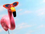 Enjoy flamingo-themed small town summer fun during downtown Camas’ next First Friday.