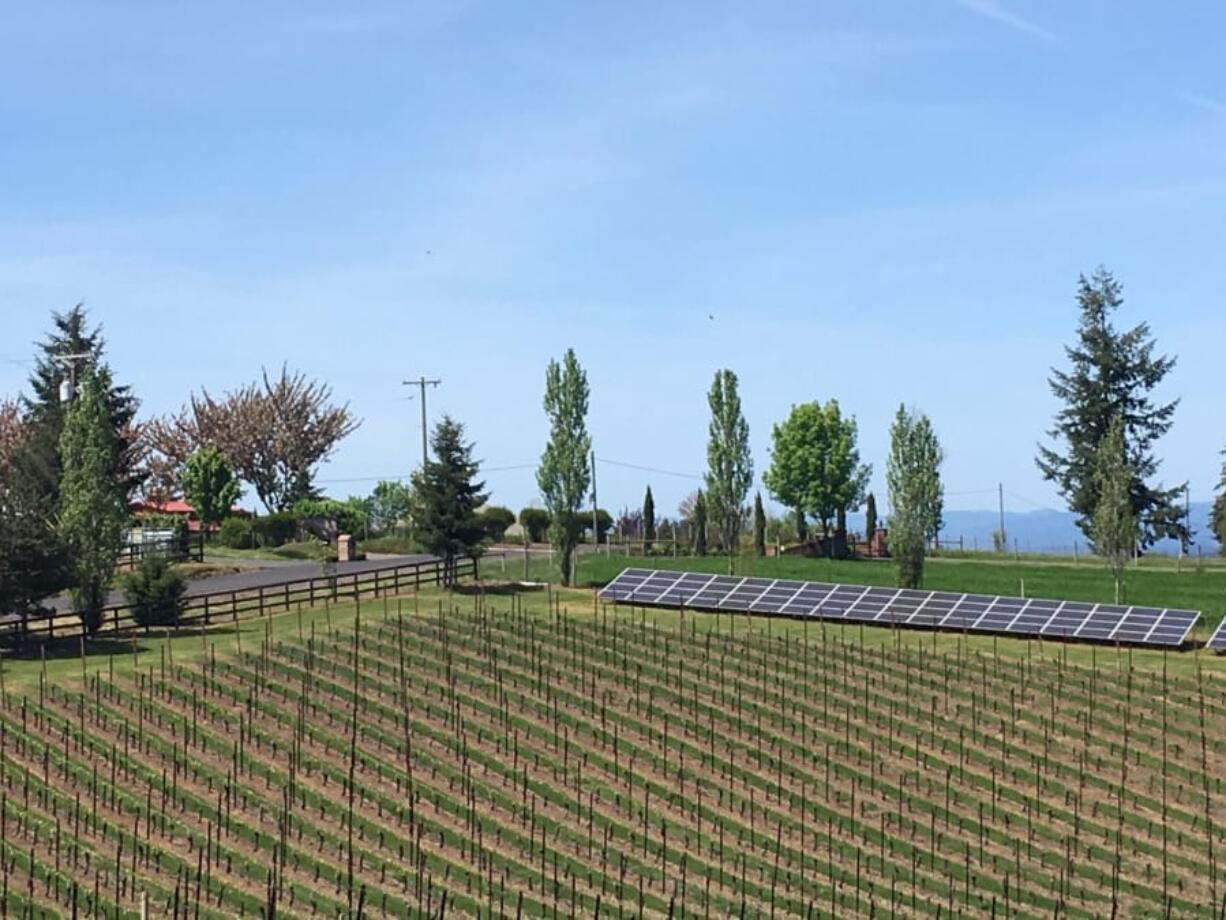 The farm at Alloro Vineyards near Sherwood, Ore., is powered by solar energy from a 54-kilowatt array on the property.