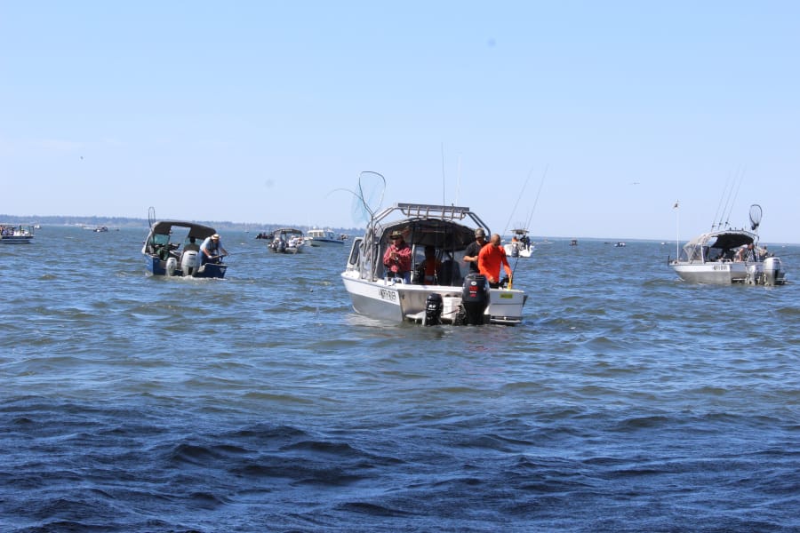 Columbia River/Buoy 10 Tide Strategies