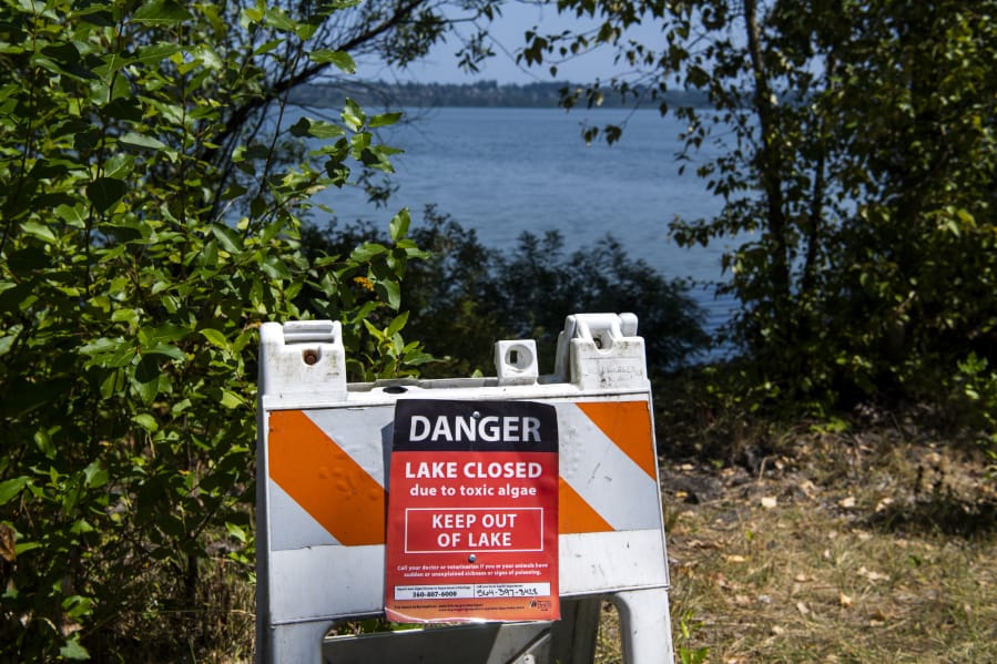 Signs are posted around Vancouver Lake to warn visitors that the lake is closed due to toxic algae in August 2019.