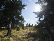 Jonathan Young, interim Vancouver city attorney, left, examines the treeline at the Fenton property on Monday evening during a Vancouver City Council mobile workshop.