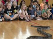 A crowd of children are entertained Friday by a king cobra named Hannah during a demonstration by Steve Lattanzi of Steve’s Creature Feature at the Jack, Will and Rob Center. The Camas School District took over the center about a year ago after the Boys & Girls Clubs of Portland ran operations at the center for the previous 14 years. Above, the center is seen from outside.