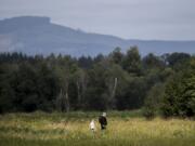 Maxine Deschand, 6, left, and her mother, Brianna Deschand, walk through the Ridgefield National Wildlife Refuge on Thursday. The refuge has proved a crucial habitat for the region’s endangered and threatened species, helping populations such as the Columbian white-tailed deer rebound.