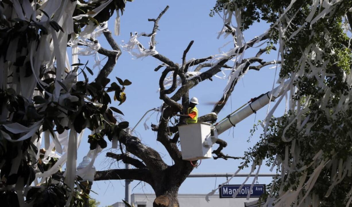 FILE - In this April 23, 2013 photo, a man works to cut down the poisoned oak trees at Toomer’s Corner at the entrance to Auburn University in Auburn, Ala. University of Alabama fan Harvey Updyke Jr. pleaded guilty to placing herbicide on the trees and was ordered to pay about $800,000 in restitution. He is due in court on Oct. 30, 2019, to explain why the money is not being paid.