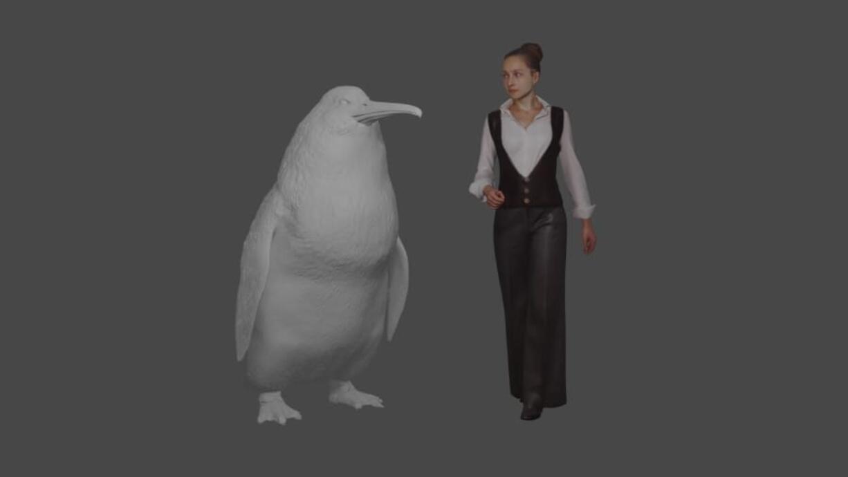 This illustration provided by the Canterbury Museum, shows the approximate height of a giant penguin, a “crossvallia waiparensis” next to a human being. Scientists in New Zealand say they’ve found fossilized bones from an extinct monster penguin that was about the size of a human and swam the oceans some 60 million years ago.