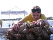 Christine Thompson, an assistant professor at Stockton University, looks through bags of young oysters growing on whelk shells as part of an oyster restoration program being done by the American Littoral Society in Ocean Gate, N.J.