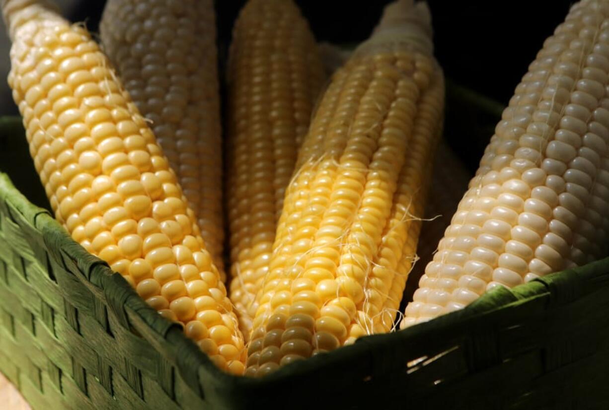 Fresh summer corn, in season, can be used for a variety of tasty dishes. (Hillary Levin/St.