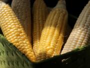 Fresh summer corn, in season, can be used for a variety of tasty dishes. (Hillary Levin/St.