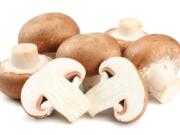 Fresh champignon mushrooms isolated on white background