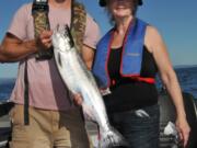 The states were projecting a big coho run this fall, but catch rates and mark rates have not been good. This has left many anglers asking, where are the fish?