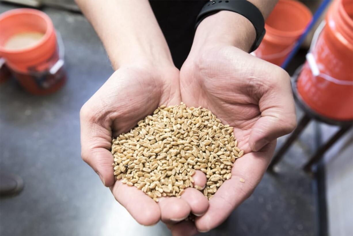 United Grain, at the Port of Vancouver, is home to the West Coast&#039;s largest grain elevator.